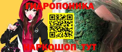 гидропоника Будённовск